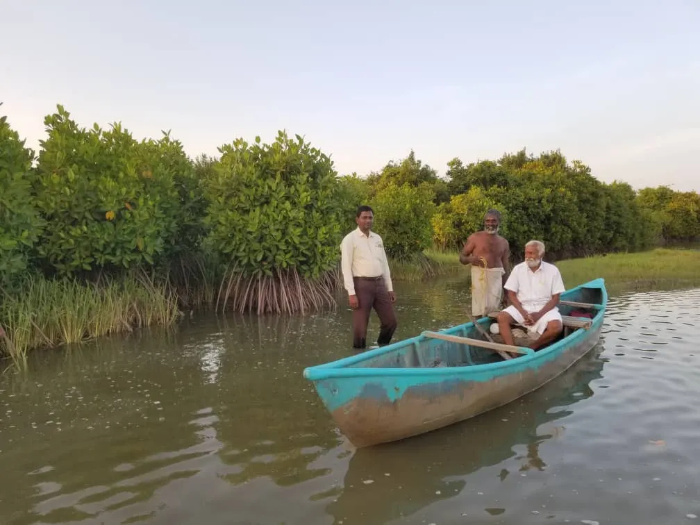 UNESCO Mangrove Conservation and Ecosystem day july 26 2026