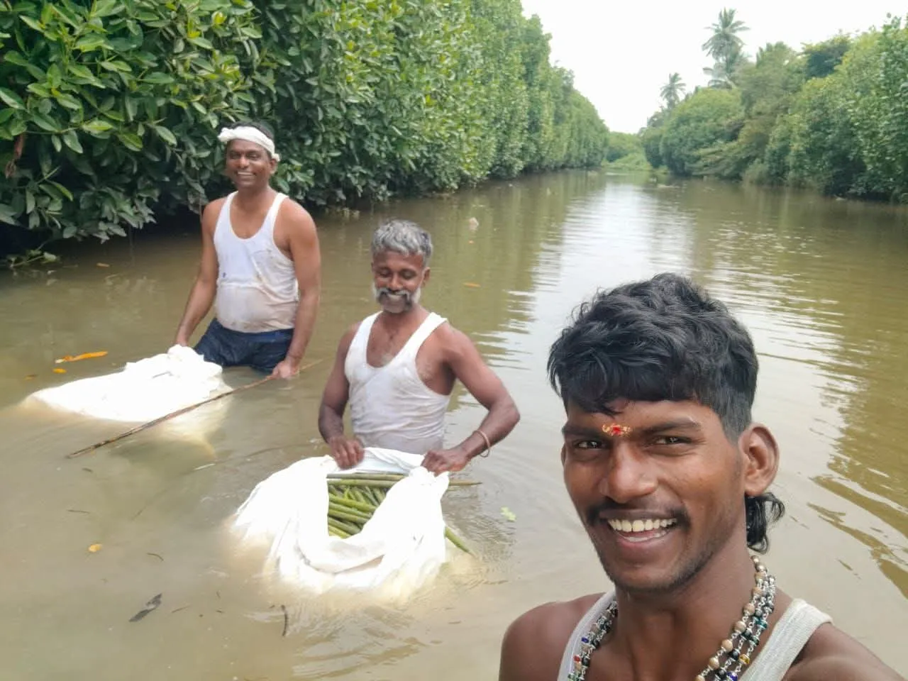 The International Day for the Conservation of the Mangrove Ecosystem Day  july 26, 2026