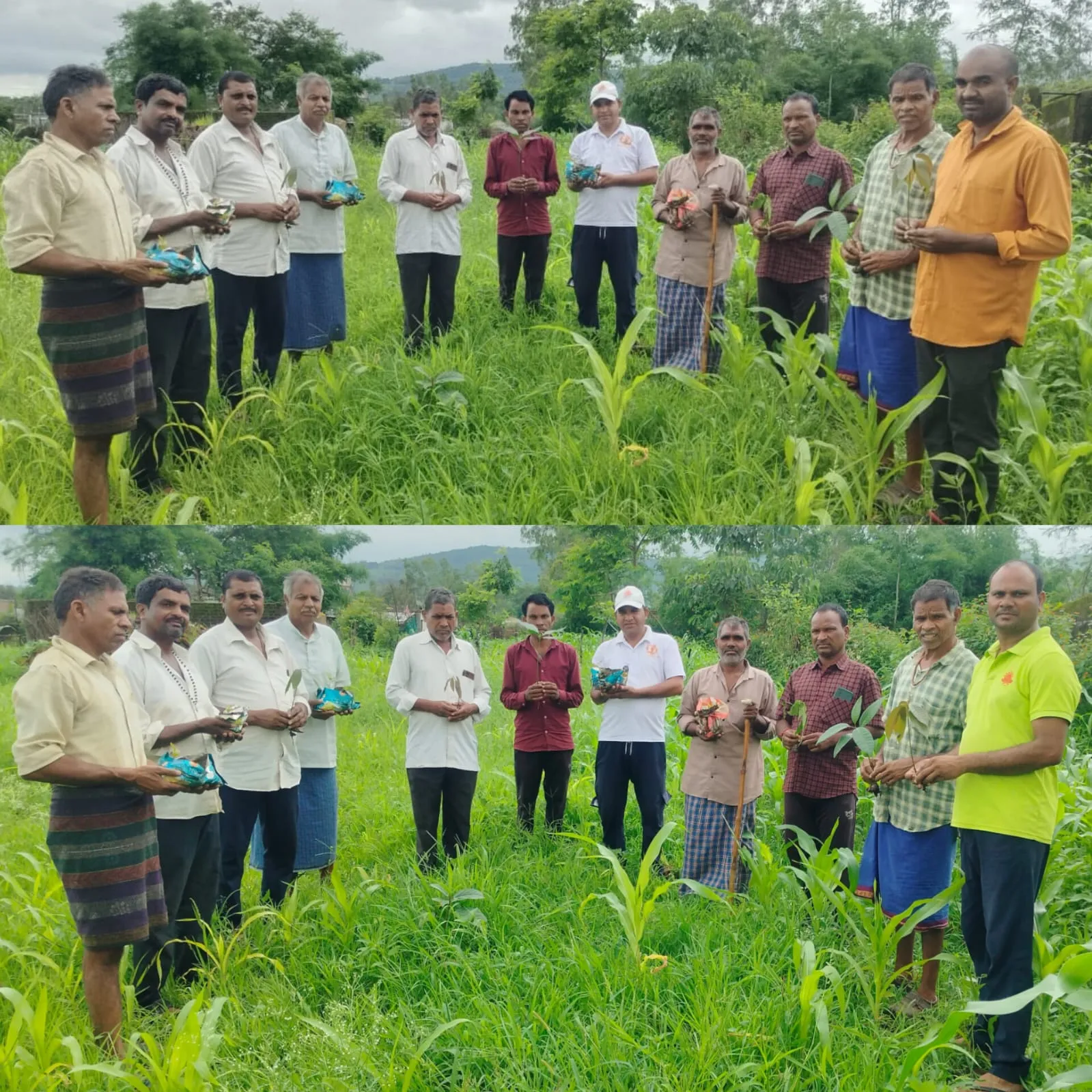हरियाली अमावस्या पर सतगुरु कबीर धर्मदास वंशावली मिशन के नेमी-प्रेमी भक्तजनों ने पौधे रोपकर दिया पर्यावरण संरक्षण का संद