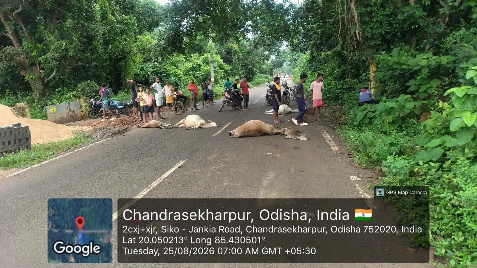 ଗୋମାତାଙ୍କ ସୁରକ୍ଷା ନେଇ ପ୍ରଶ୍ନ — ସରକାର ଓ ନେତାଙ୍କ ନୀରବତା କାହିଁକି?

ରାସ୍ତାରେ ଗୋମାତାଙ୍କୁ ଗାଡ଼ି ଧକ୍କା: ଦାୟୀ କିଏ?