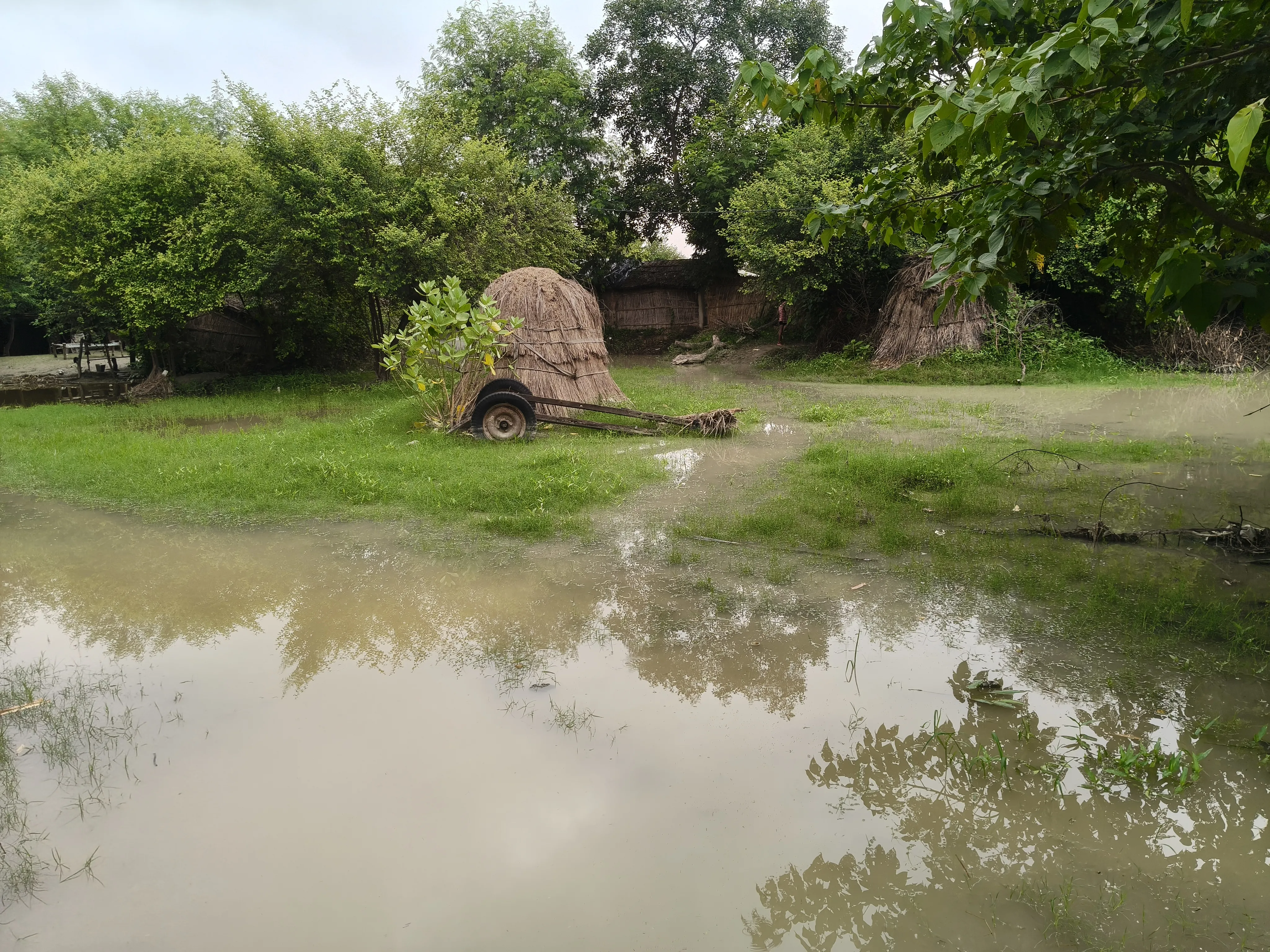 🚨 ब्रेकिंग न्यूज़ | घाघरा नदी में दोबारा बाढ़ का कहर, दर्जनों गांवों में फिर घुसा पानी—ग्रामीणों की बढ़ी मुश्किलें!
