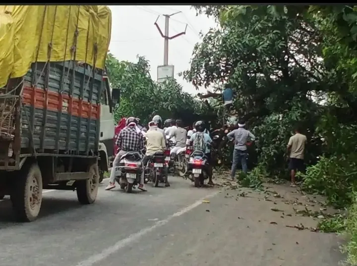 सहजनवा घघसरा मार्ग पर पेड गिरने से रास्ता व बिजली दोनो बाधित