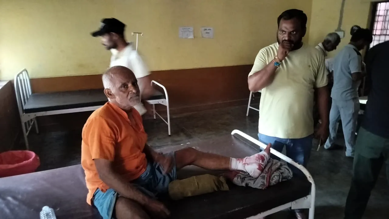 उन्नाव में आवारा सांड का आतंक, किसान के बेटे की मौत… पिता गंभीर