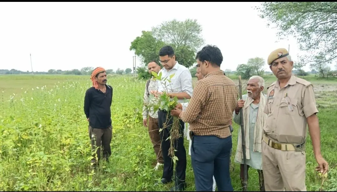 जिला स्तरीय मॉनिटरिंग कमेटी की बैठक DM के समक्ष, बीमा कंपनी 30 के अन्दर फसल क्षतिपूर्ति करें किसानो की ।