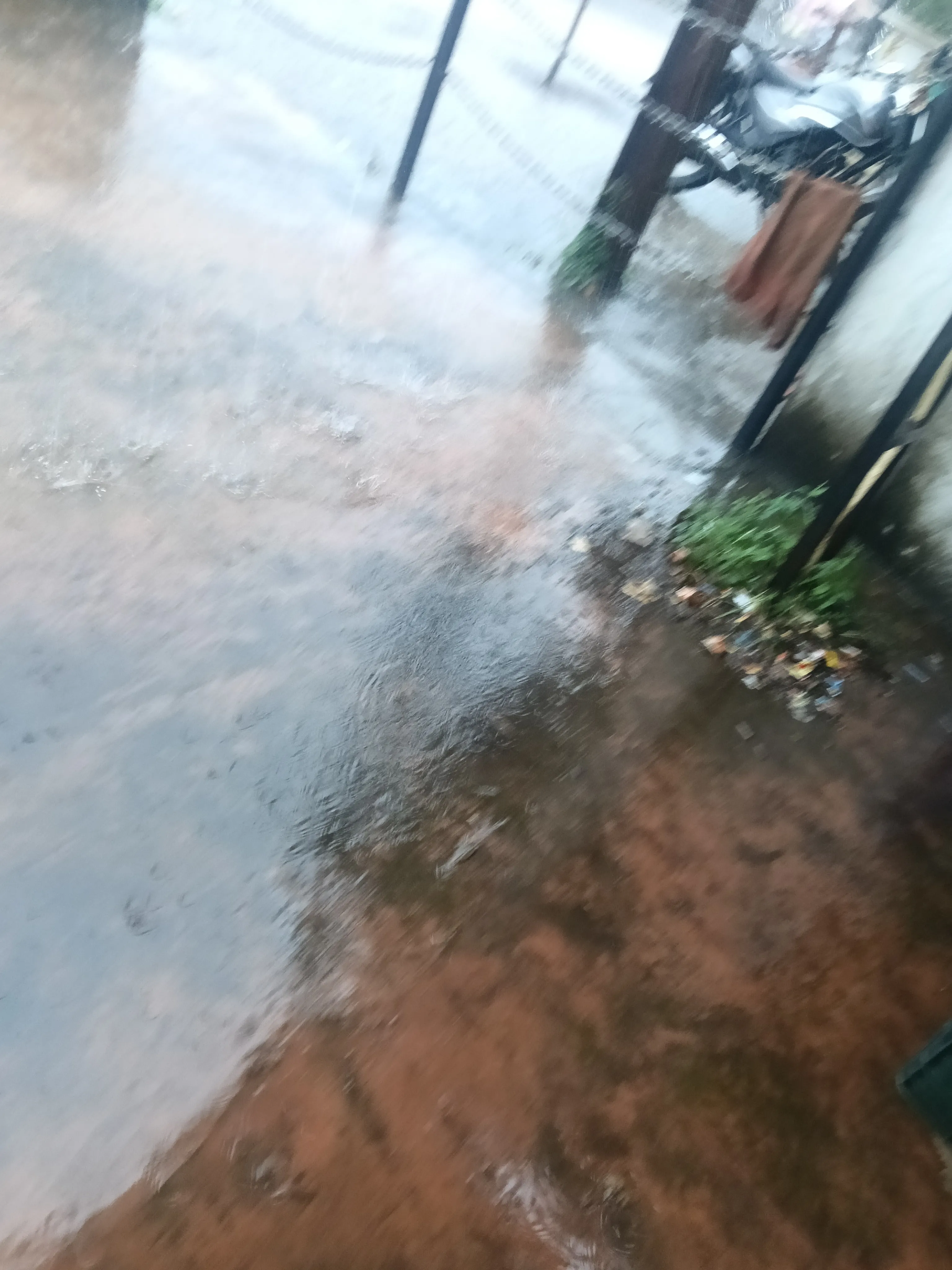 बामनिया में बप्पा के आगमन से पहले झमाझम बारिश, श्रद्धालुओं के चेहरे खिले, तैयारियाँ हुई तेज