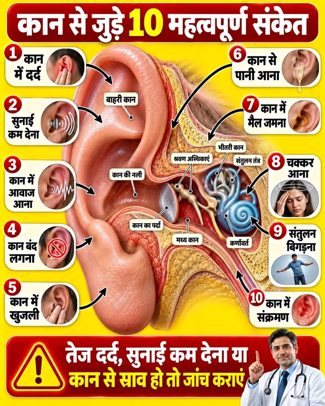कान केवल सुनने के लिए ही नहीं