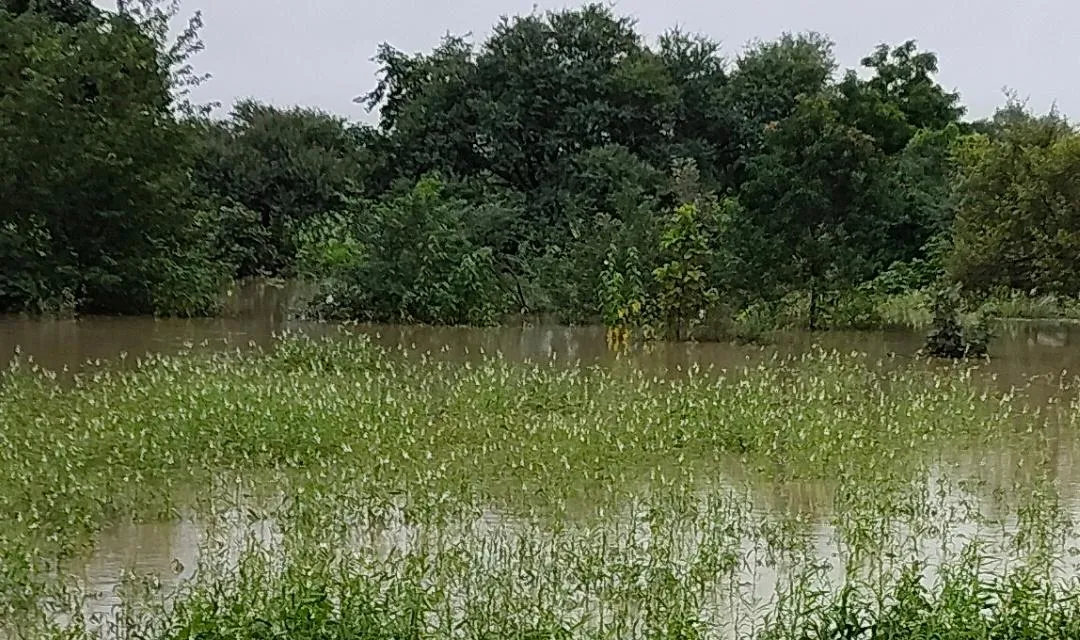 किसान ने फांसी लगाकर दी जान, फसलें हो रही लगातार वर्वाद कभी सूखा कभी अतिवृष्टि के चलते किसानो के हालात कर्ज में डूबे