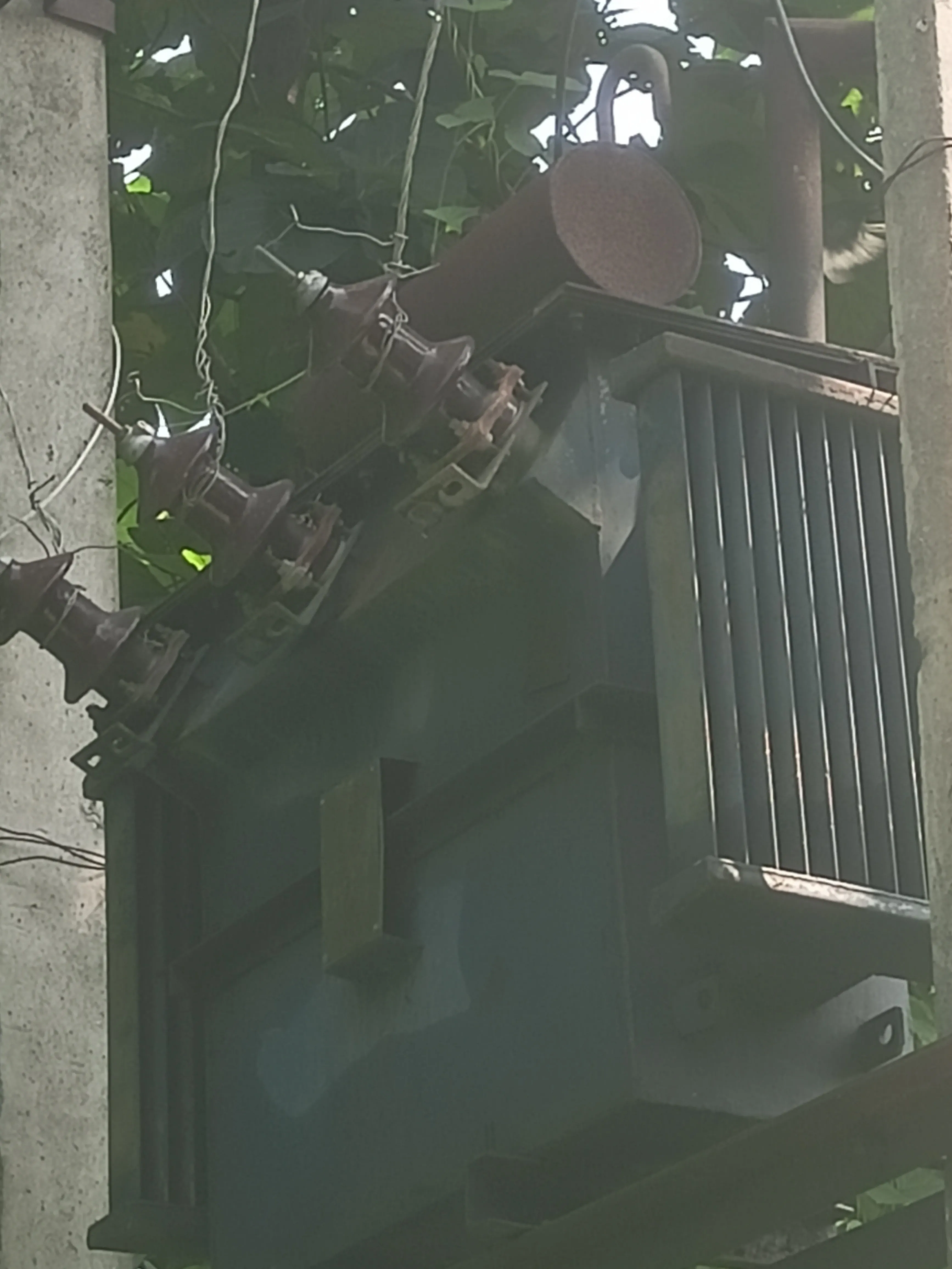 भारत की कम्युनिस्ट पार्टी(मार्क्सवादी)तहसील समाधान दिवस में बिजली समस्या का मुद्दा उठाई सीआरओ ने दिए तत्काल कार्रवाई के
