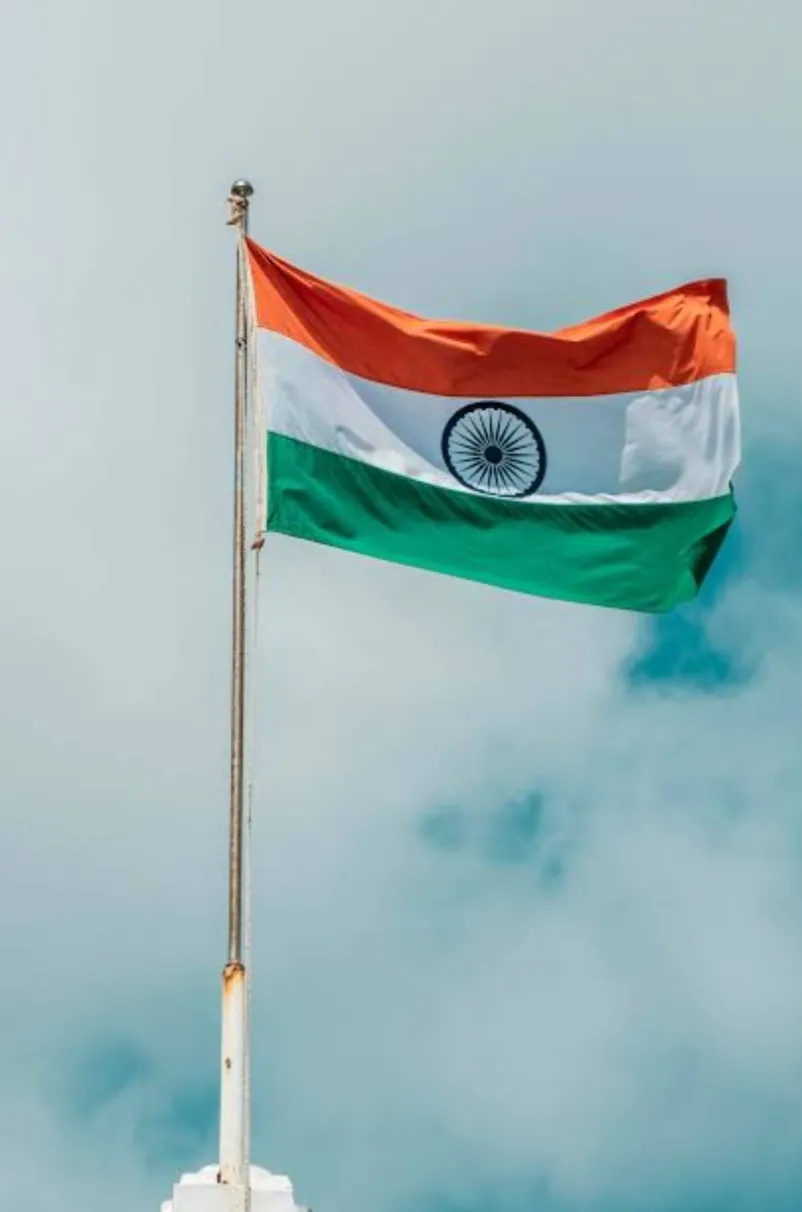 📖 शीर्षक: शेर का शासन और गधे की राजगद्दी