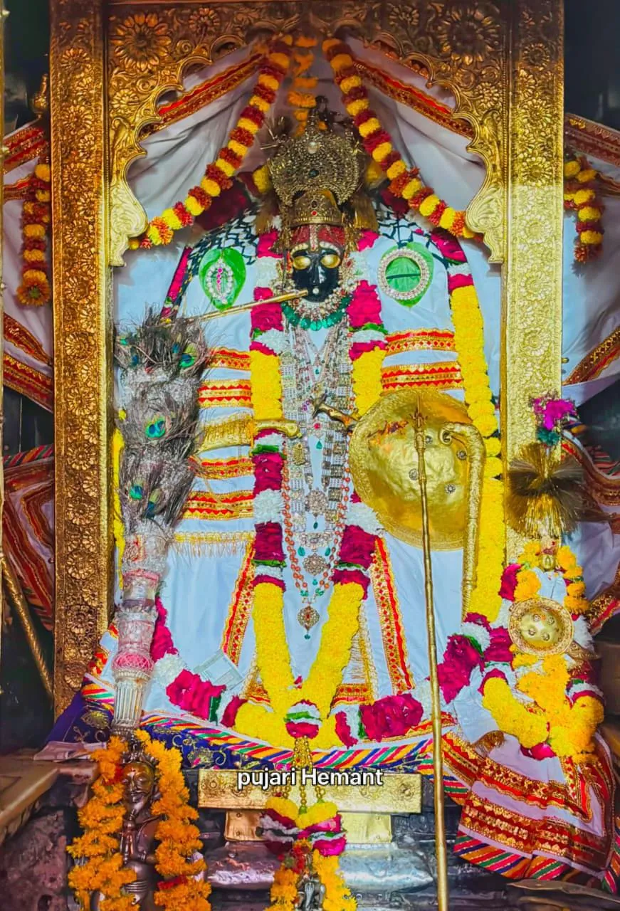 जलझुलनी एकादशी पर गड़बोर चारभुजा जी में उमड़ेगा आस्था का महासागर, नीमच-मंदसौर सहित मध्यप्रदेश से पहुंच रहे पैदल यात्री