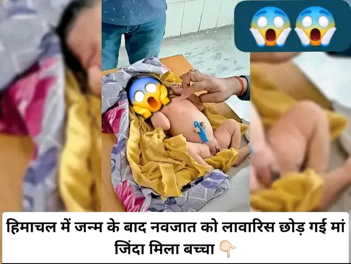 हिमाचल प्रदेश।कांगड़ा : कांगडा के सीमावर्ती ग्राम पंचायत खोली के वार्ड नंबर 7 में नवजात शिशु को कथित तौर पर लावारिस हाल