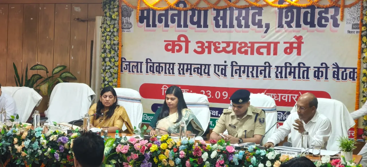 दिशा की बैठक में विकास योजनाओं की समीक्षा, समय पर कार्य पूरा करने का निर्देश