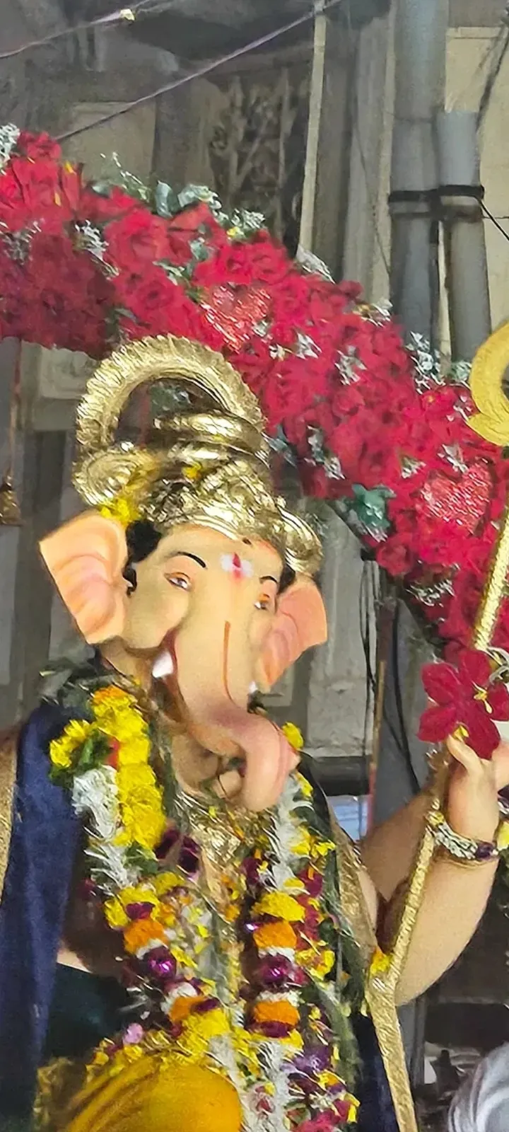 ??ીલીમોરામાં ગણપતિ બાપા વિસર્જનના દર્શન માટે ભક્તોની ભીડ ઉમટ?