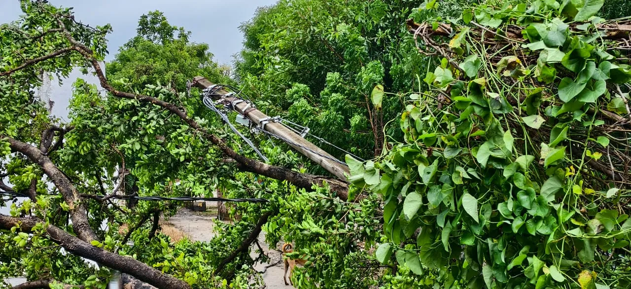 आंधी-पानी से जनजीवन बेहाल, मकान ढहे और बिजली व्यवस्था चरमराई