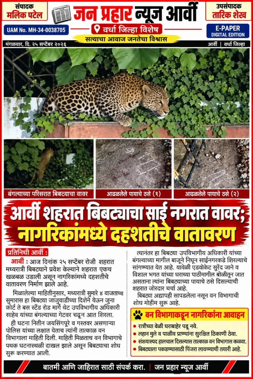 आर्वीच्या मध्य भागत दिसला बिबटया.