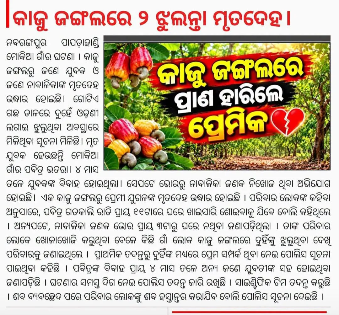 କାଜୁ ବାଡ଼ିରେ ମୃତ ଦେହ ଉଦ୍ଧାର