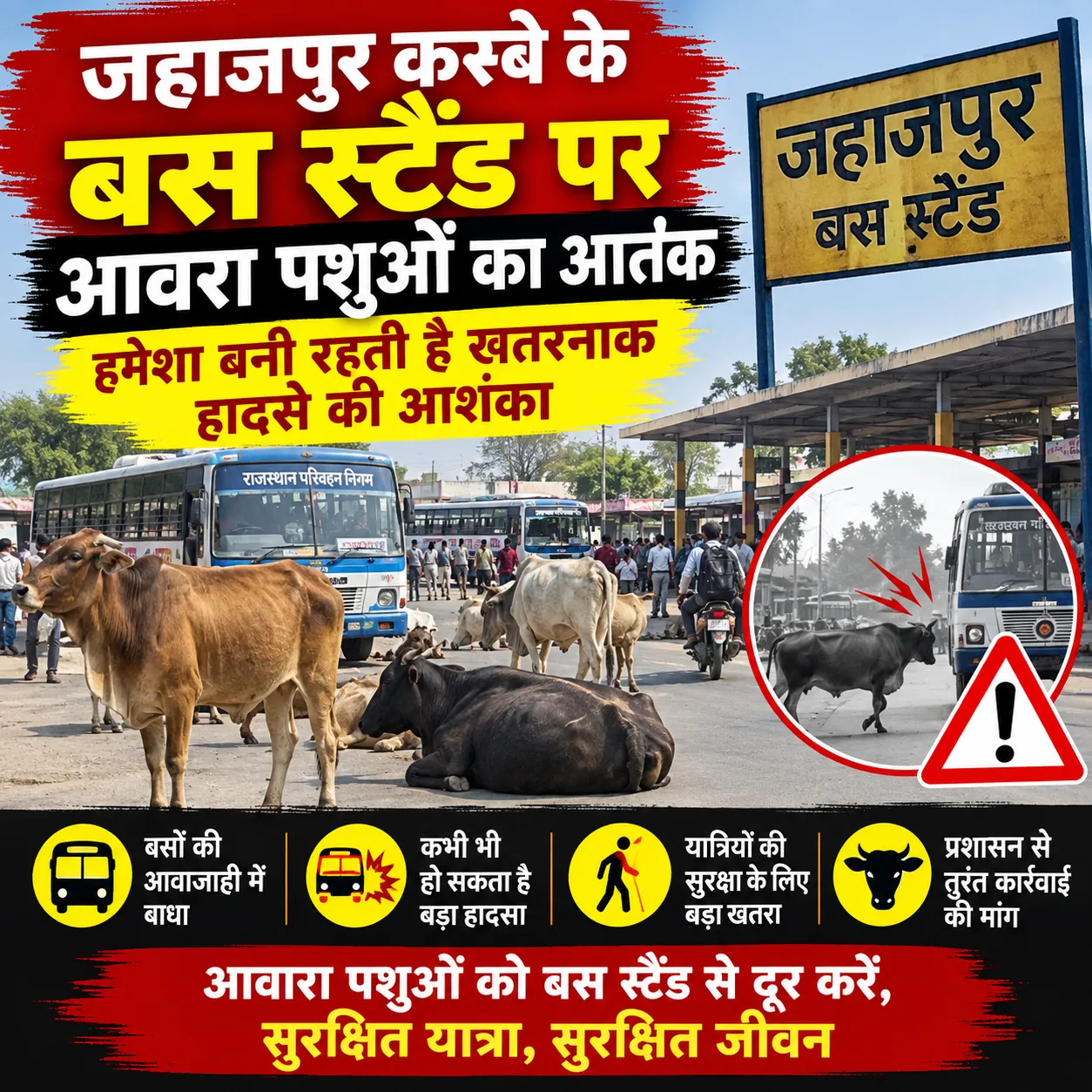 जहाजपुर बस स्टैंड पर आवारा पशुओं का जमावड़ा, राहगीरों के लिए हादसे का खतरा बढ़ा