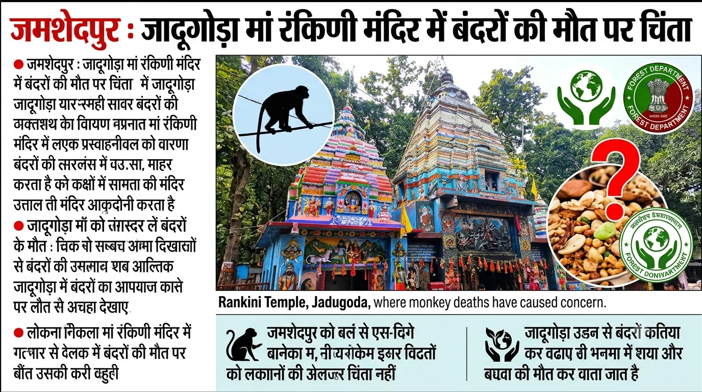 जमशेदपुर के जादूगोड़ा मां रंकिणी मंदिर परिसर में बंदरों की मौतों से वन्यजीव संरक्षण पर चिंता
