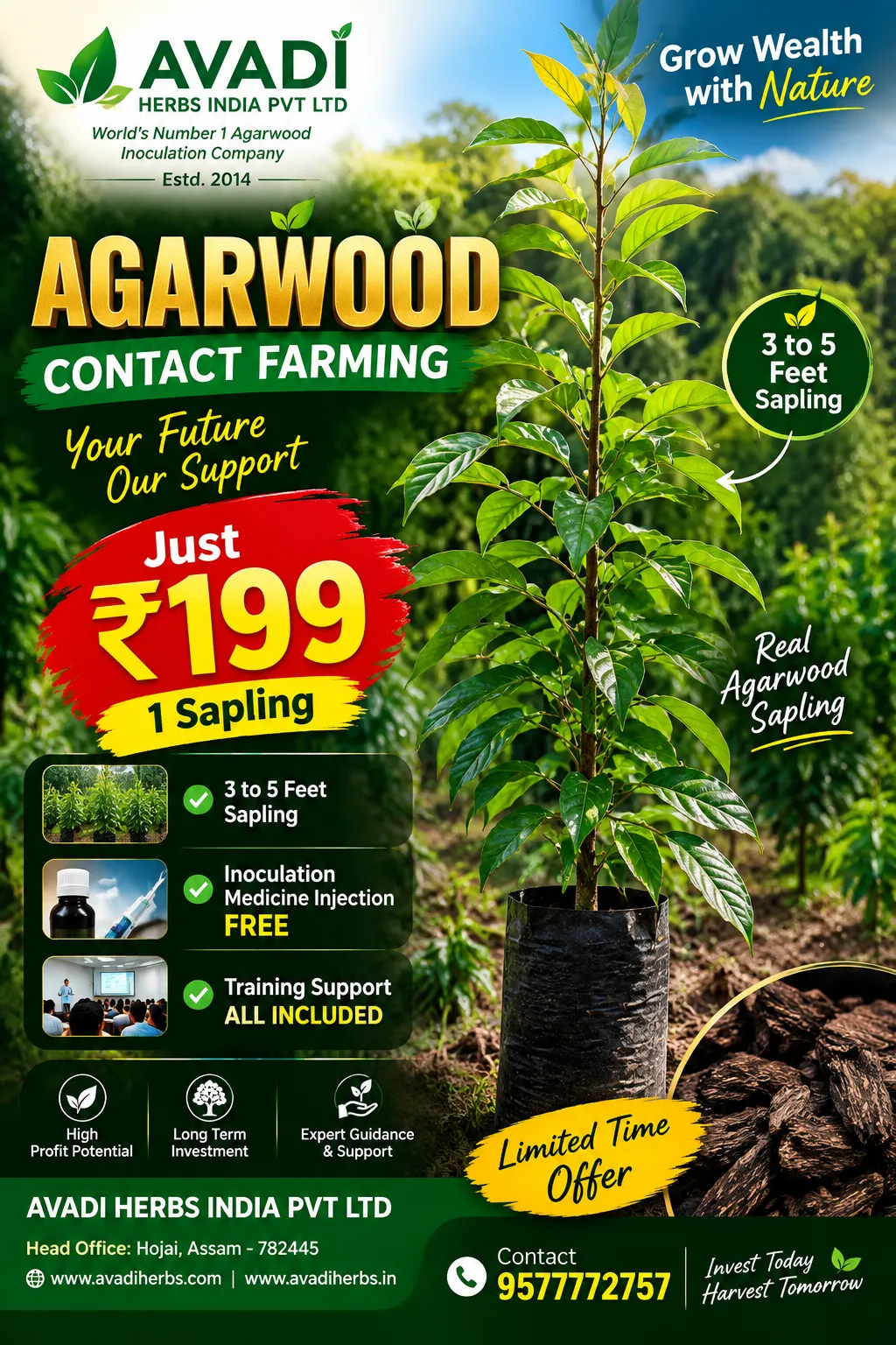 Avadi Herbs India Pvt Ltd gets opportunity to roll out nationwide Agarwood (Oudh) business plan