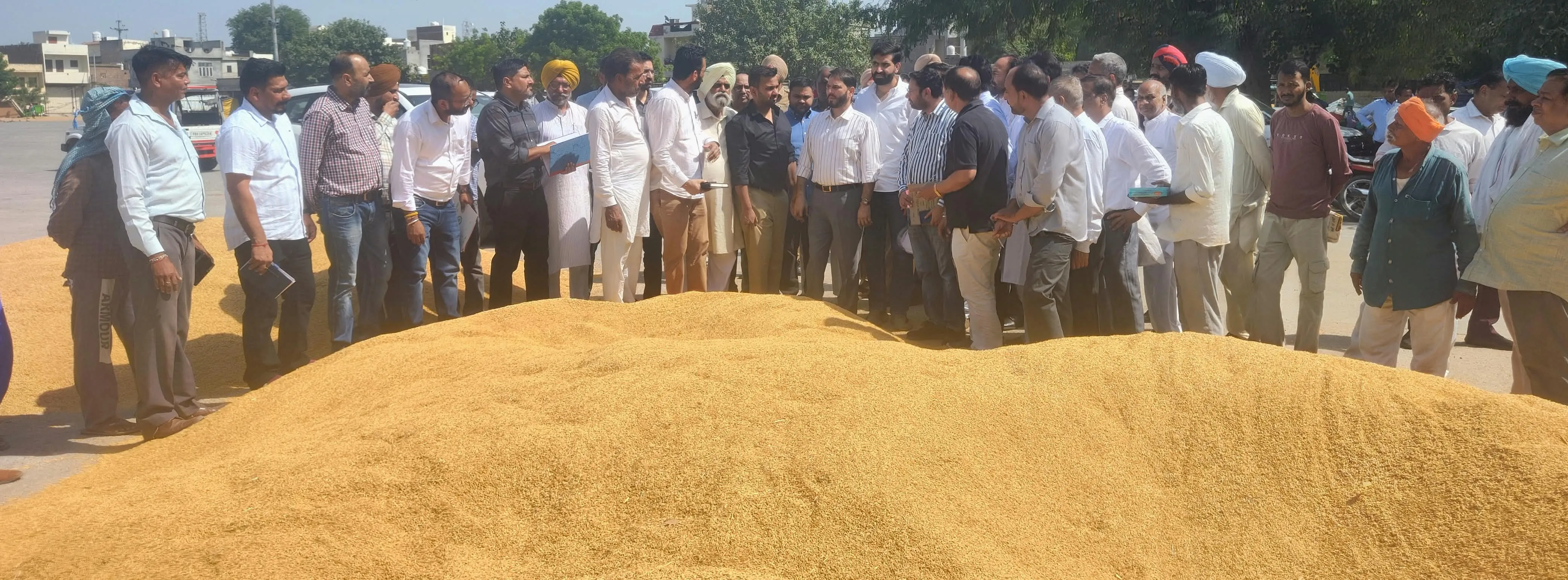 ਬਠਿੰਡਾ ਦਾਣਾ ਮੰਡੀ ’ਚ ਝੋਨੇ ਦੀ ਸਰਕਾਰੀ ਖਰੀਦ ਸ਼ੁਰੂ