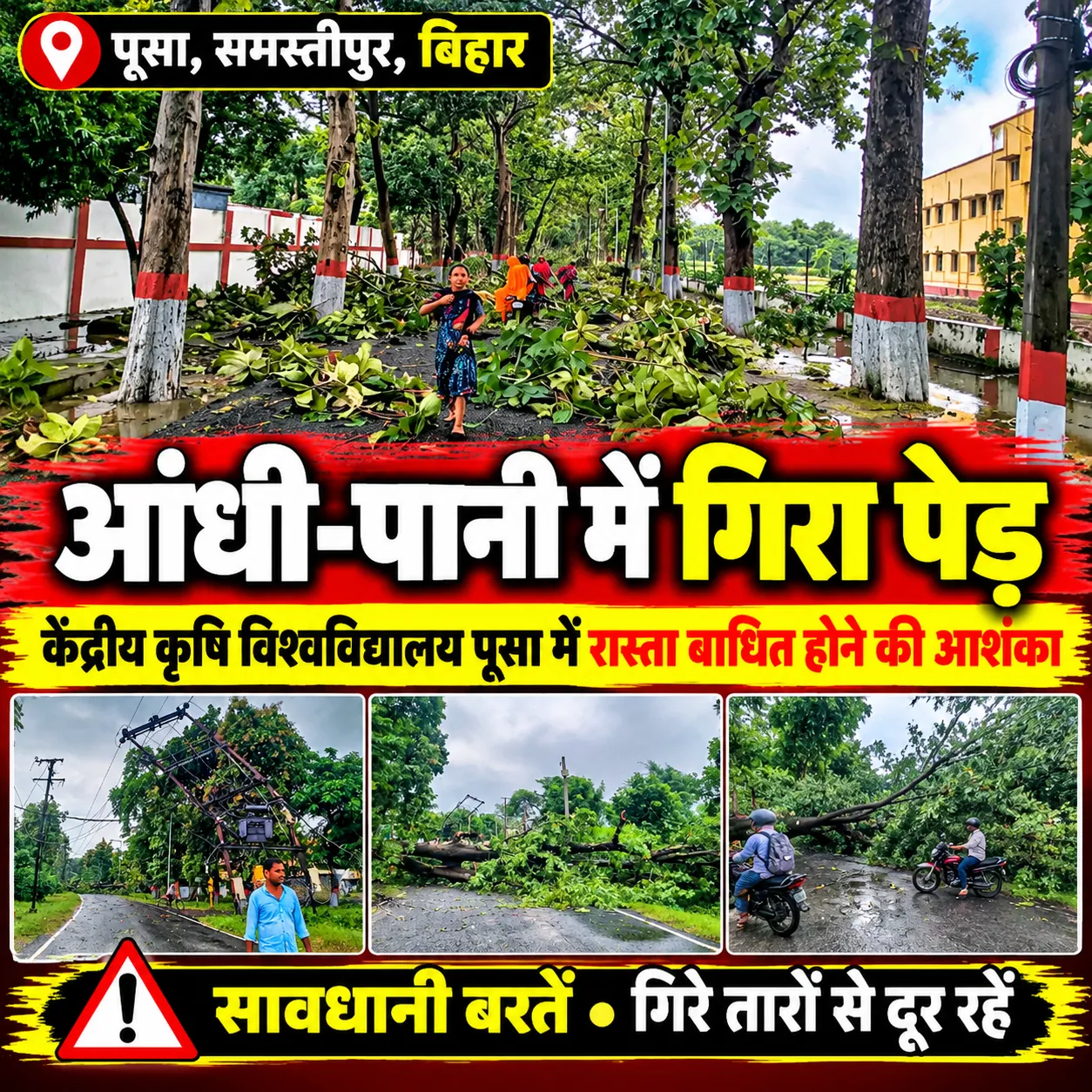 ूसा, समस्तीपुर में तेज आंधी-बारिश से केंद्रीय कृषि विश्वविद्यालय परिसर में पेड़ गिरे, यातायात प्रभावित होने की आशंका