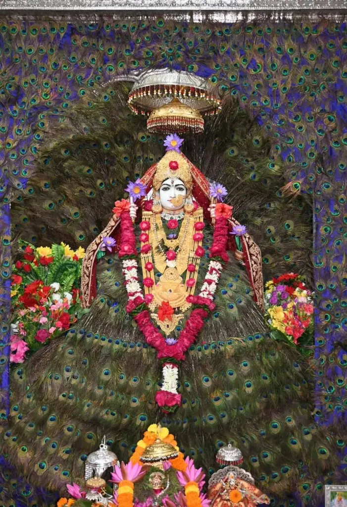 *मां त्रिपुरसुंदरी का मोर पंख से हुआ दिव्य श्रृंगार*