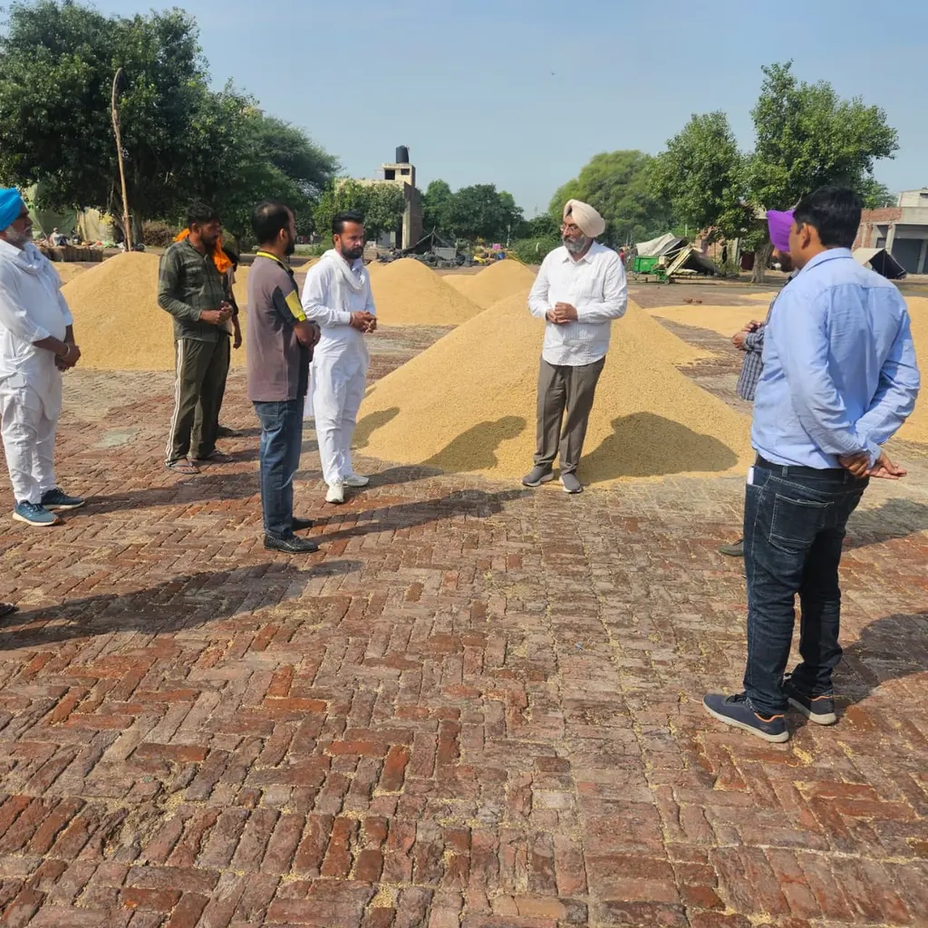 ਬਠਿੰਡਾ ਜ਼ਿਲ੍ਹੇ ਵਿੱਚ 52,203 ਮੀਟ੍ਰਿਕ ਟਨ ਝੋਨੇ ਦੀ ਖ਼ਰੀਦ