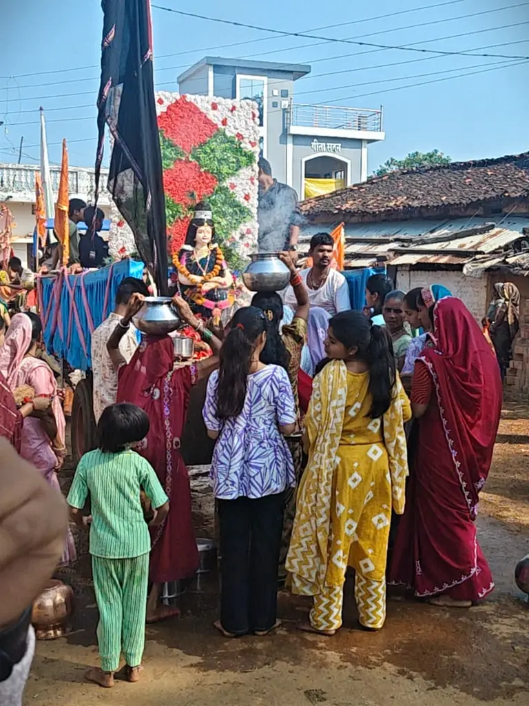 ्राम बीज भाटा में माता रानी के विसर्जन के साथ शांतिपूर्ण जुलूस संपन्न
