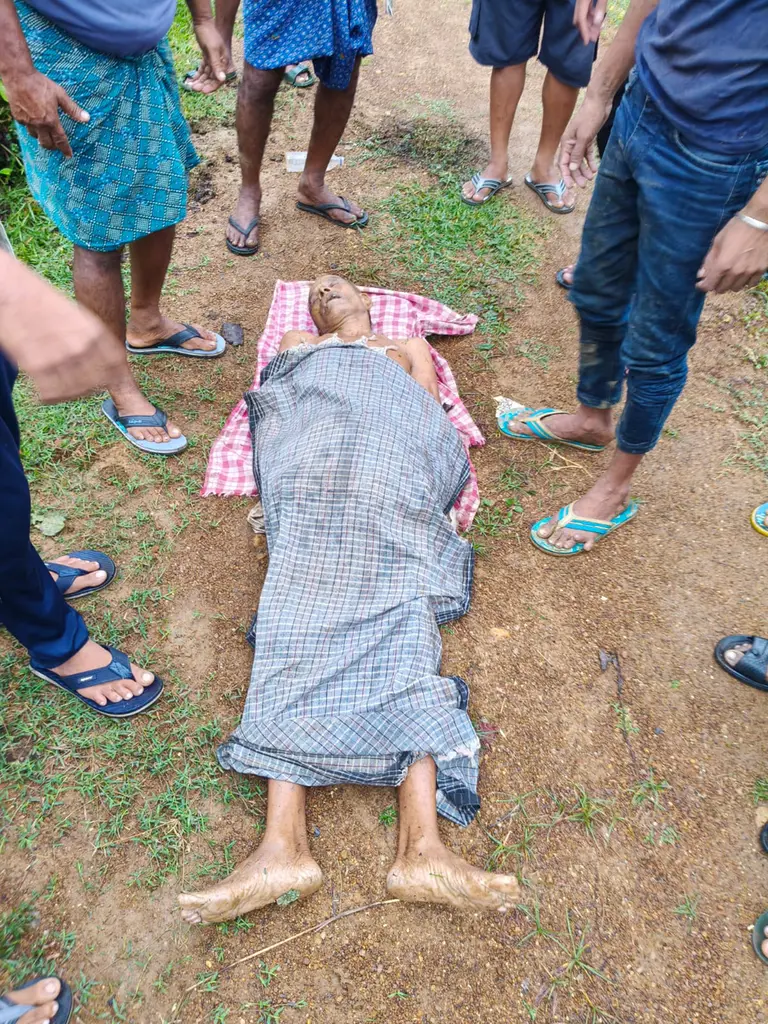ହାତୀ ଆକ୍ରମଣରେ ଜଣେ ମୃତ