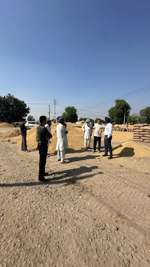 ਬਠਿੰਡਾ ਜ਼ਿਲ੍ਹੇ ਦੀਆਂ ਮੰਡੀਆਂ ਵਿੱਚ ਝੋਨੇ ਦੀ ਆਮਦ 3.73 ਲੱਖ ਮੀਟ੍ਰਿਕ ਟਨ ਤੋਂ ਪਾਰ