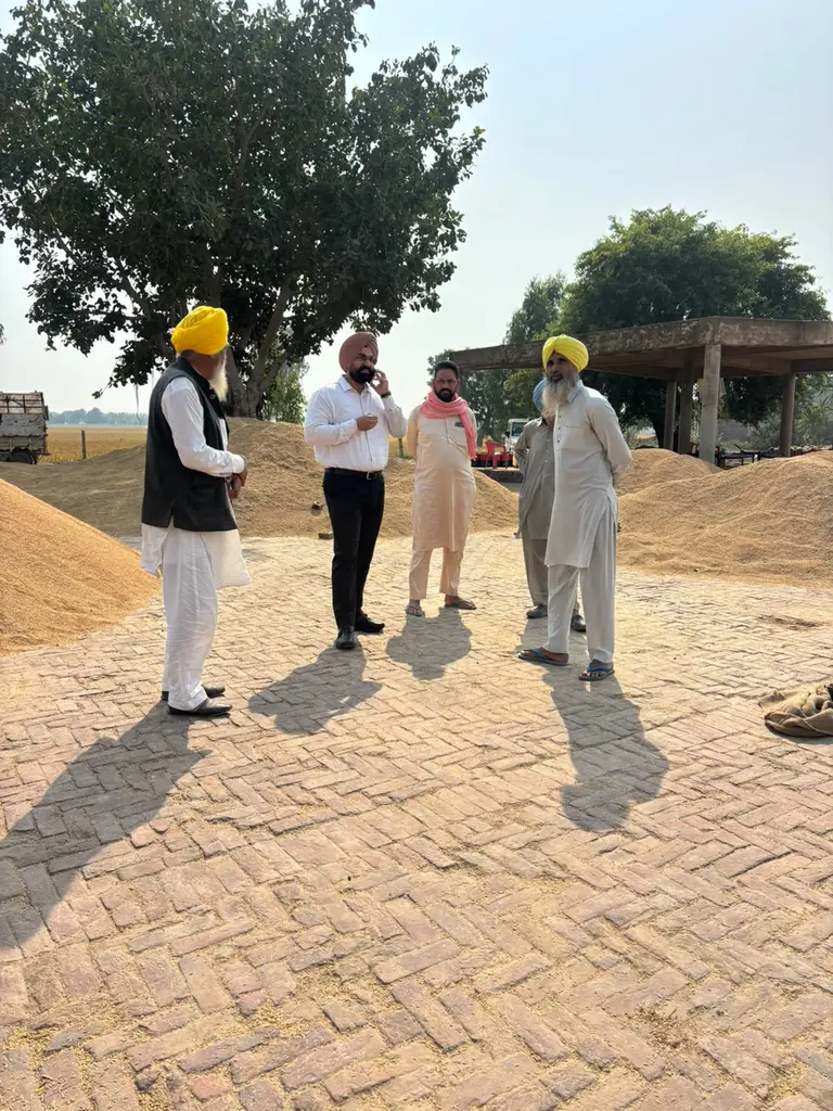 ਬਠਿੰਡਾ ਜ਼ਿਲ੍ਹੇ ਦੀਆਂ ਮੰਡੀਆਂ ਵਿੱਚ ਝੋਨੇ ਦੀ ਆਮਦ 4.30 ਲੱਖ ਮੀਟ੍ਰਿਕ ਟਨ ਤੋਂ ਪਾਰ, ਖ਼ਰੀਦ 3.62 ਲੱਖ ਮੀਟ੍ਰਿਕ ਟਨ