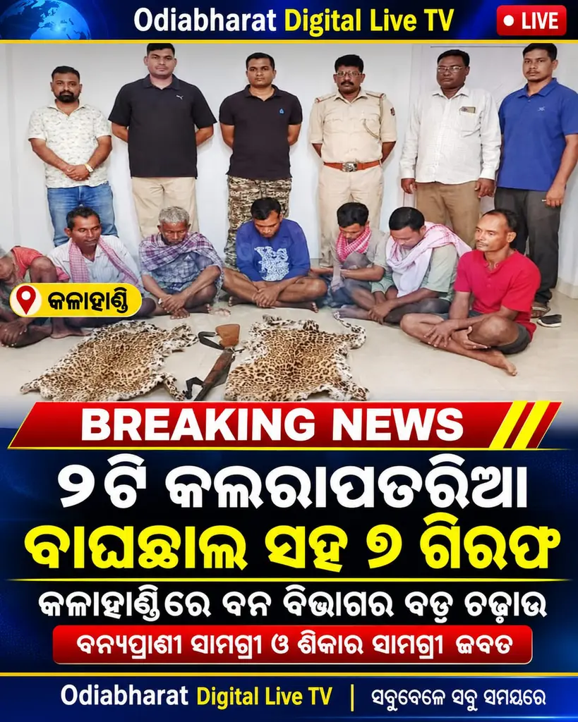 କଳାହାଣ୍ଡିରେ ବନ ବିଭାଗର ବଡ଼ ଆକ୍ସନ!
🐆 ୨ଟି କଲରାପତରିଆ ବାଘଛାଲ ଜବତ, ୭ ଜଣ ଗିରଫ!
🐗 ଜୀବନ୍ତ ବାର୍‌ହା ସହ ବିପୁଳ ବନ୍ୟପ୍ରାଣୀ ସାମଗ୍ରୀ ଜ