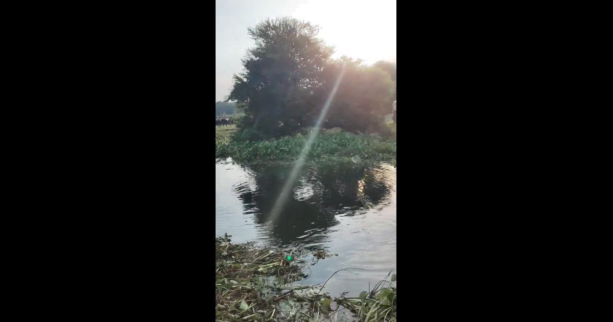 (अररिया जिला)नदी में नहाने के दौरान दो बच्चों की मौत