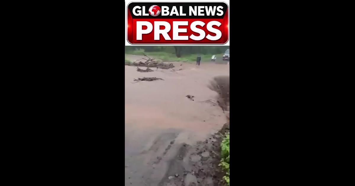 🌧️ मुसळधार पावसाचा फटका! तोरणमाळकडे जाणारा रस्ता खचल्याने वाहतूक विस्कळीत

नंदुरबार | ग्लोबल न्यूज प्रेस प्रतिनिधी