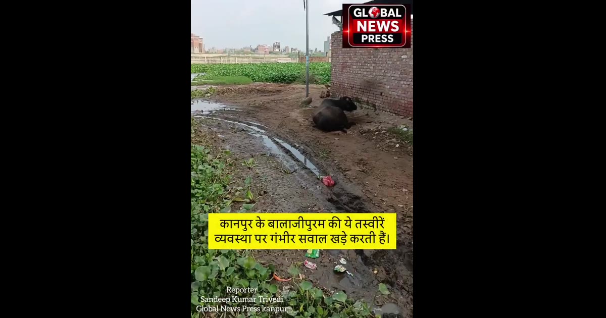 कानपुर के बालाजीपुरम इंद्रानगर रोड, कल्याणपुर की ये तस्वीरें प्रशासनिक व्यवस्था पर गंभीर सवाल खड़े करती हैं।