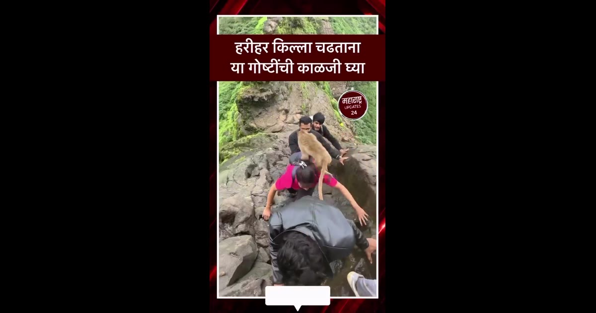 हरीहर किल्ला चढताना या गोष्टींची काळजी घ्यावी.✅ #harihar #hariharkill