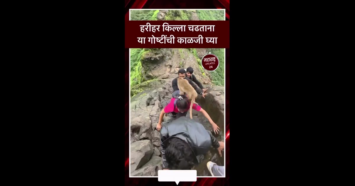 हरीहर किल्ला चढताना या गोष्टींची काळजी घ्यावी.✅ #harihar #hariharkilla #trimbakeshwar #nashik #maharashtraupdates24
