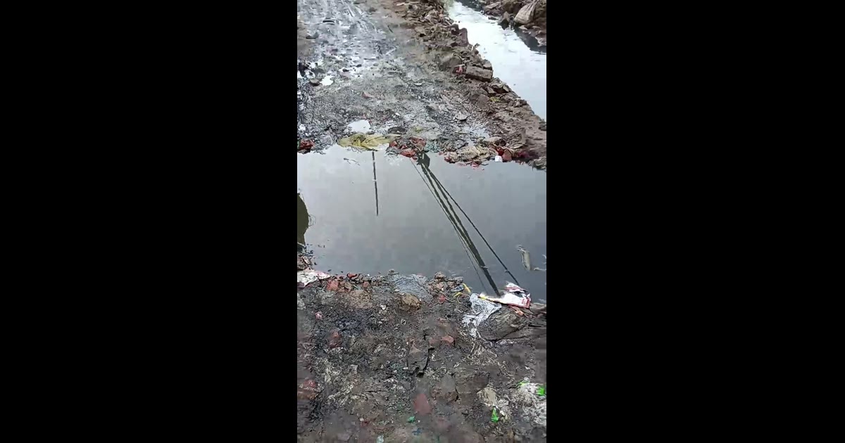 भट्ठा कालोनी सलारपुर भंगेल नोएडा में सड़क का हालत ठीक नहीं है