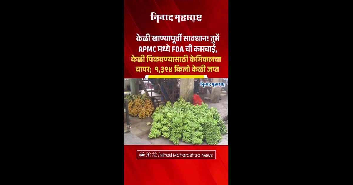 नवी मुंबईतील तुर्भे APMC बाजारात केळी पिकवण्यासाठी ‘इथेफॉन’ रासायनिक द्रावणाचा वापर होत असल्याचे FDA च्या कारवाईत आढळले.