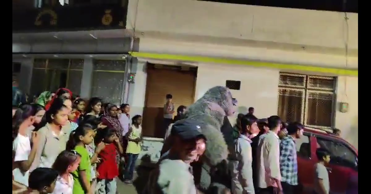 कालपी में धूमधाम से निकली टेसू (टिशु) की बारात, लोक परंपरा और उत्सव के रंग में रंगा नगर