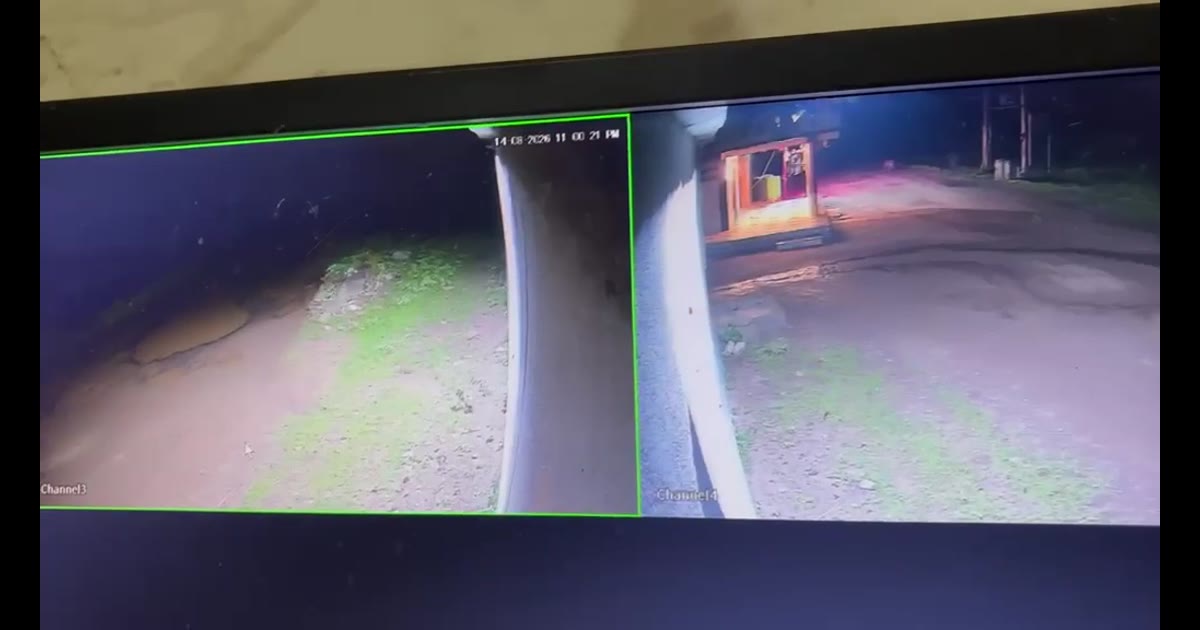 રાજુલાના ઘુઘરીયાળી ગામે દીપડો દેખાયો