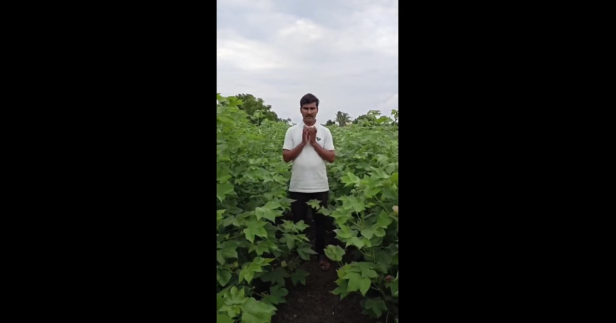 शेतकरी आणि पारंपरिक शेती विषयक शेतीचे नियोजन