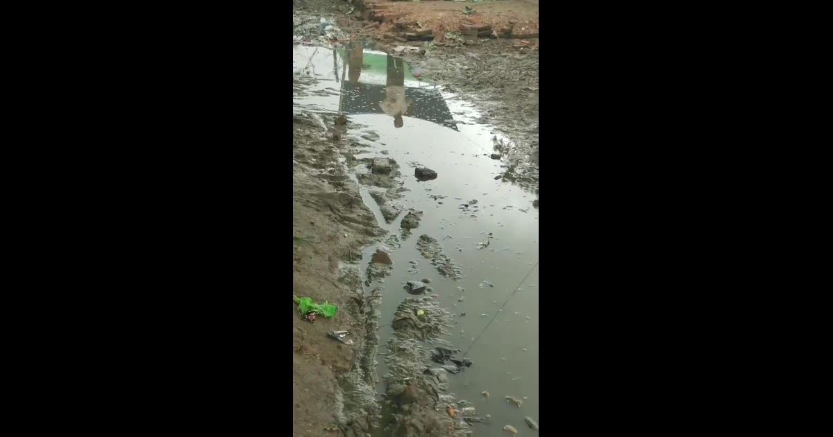 बारिश ने बिगाड़ा लालगंज सब्जी मंडी का हाल, जलभराव से सड़ रहीं सब्जियां, किसानों की बढ़ी परेशानी