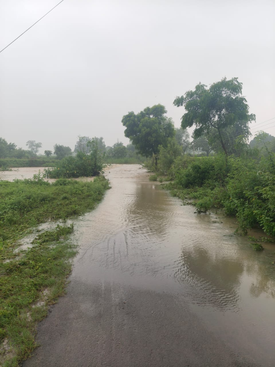 रीवा में लगातार बारिश के कारण कई जगह में बाढ़ का प्रकोप मैदानी, डेकहा , तरहटी , निपनिया कई जगह पर पानी भर गया ग्रामीण परेशान शासन प्रशासन सुरक्षा में तैनात रीवा में लगातार बारिश से कई जगह पर भरी मात्रा में पानी भर जाने का प्रकोप मैदानी, डेकहा, और कई जगह पर भरी पानी का बहाव देखने को मिला ग्रामीण जनों के साथ शासन प्रशासन सुरक्षा में तैनात रहे नागरिकों को बहुत नुकसान का सामना करना पड़ा वही व्यापारी भाइयों के दुकान से पानी के साथ उनका कई कीमती सामान बह गया किशन द्विवेदी रीवा खास रिपोर्ट